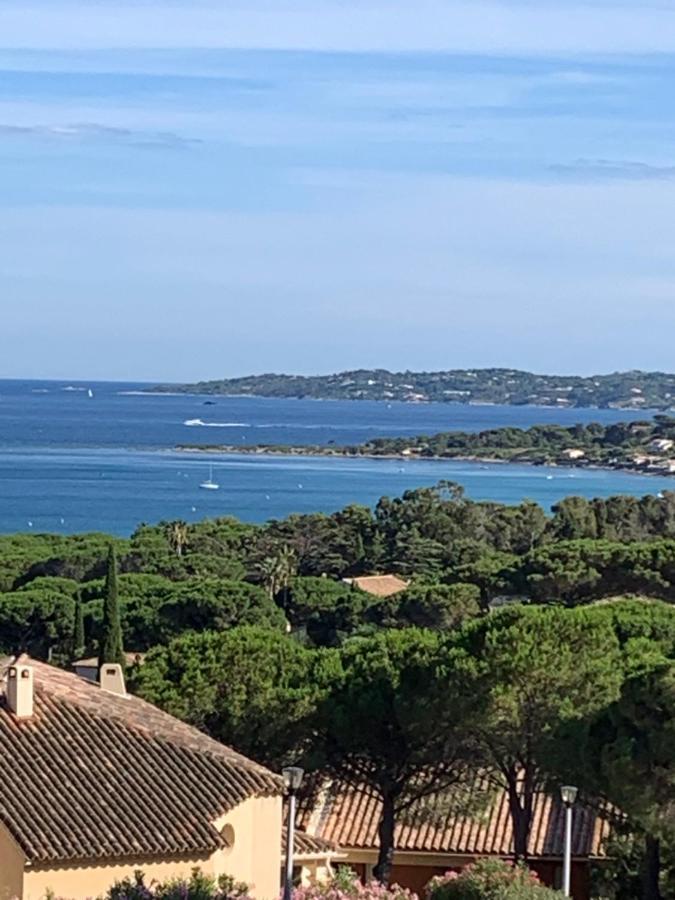 Avec Coin Nuit Sainte-Maxime